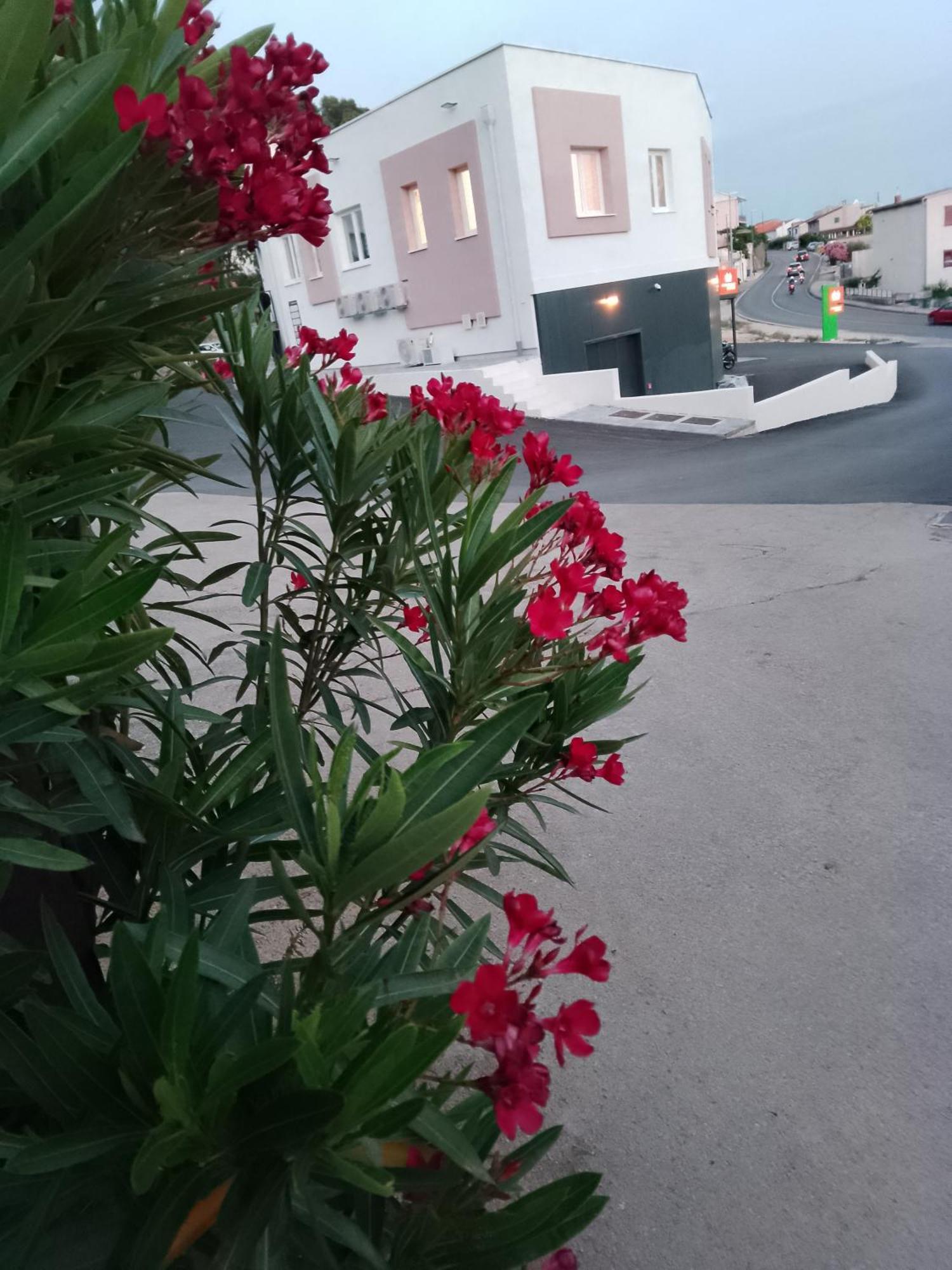 Marin Apartamento Šibenik Exterior foto